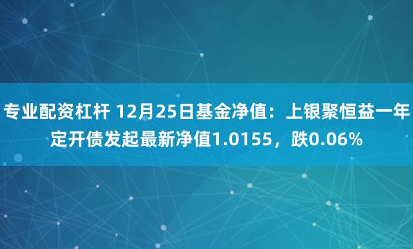 专业配资杠杆 12月25日基金净值：上银聚恒益一年定开债发起最新净值1.0155，跌0.06%