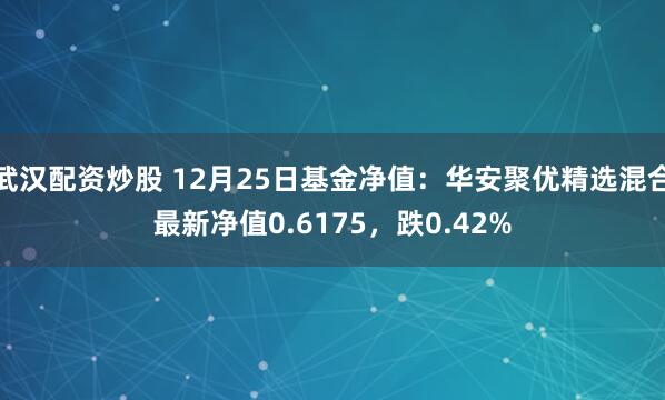 武汉配资炒股 12月25日基金净值：华安聚优精选混合最新净值0.6175，跌0.42%