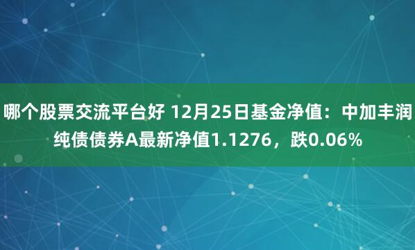 哪个股票交流平台好 12月25日基金净值：中加丰润纯债债券A最新净值1.1276，跌0.06%