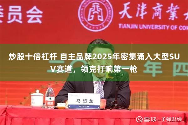 炒股十倍杠杆 自主品牌2025年密集涌入大型SUV赛道，领克打响第一枪