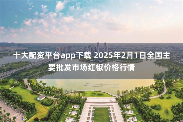 十大配资平台app下载 2025年2月1日全国主要批发市场红椒价格行情