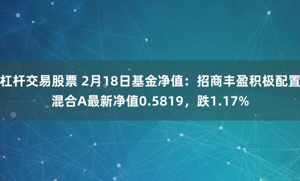 杠杆交易股票 2月18日基金净值：招商丰盈积极配置混合A最新净值0.5819，跌1.17%